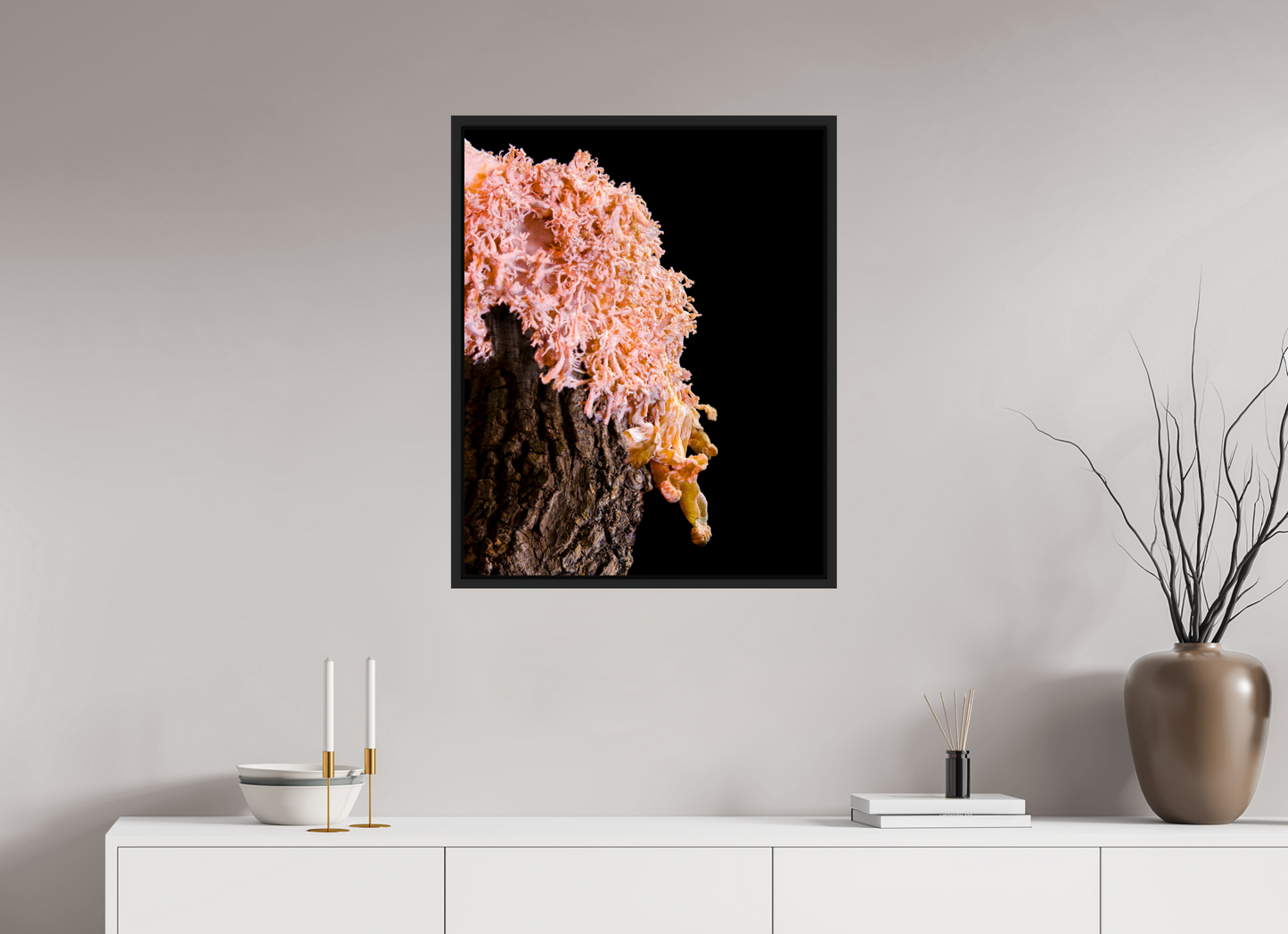 Pink Oyster Mushroom