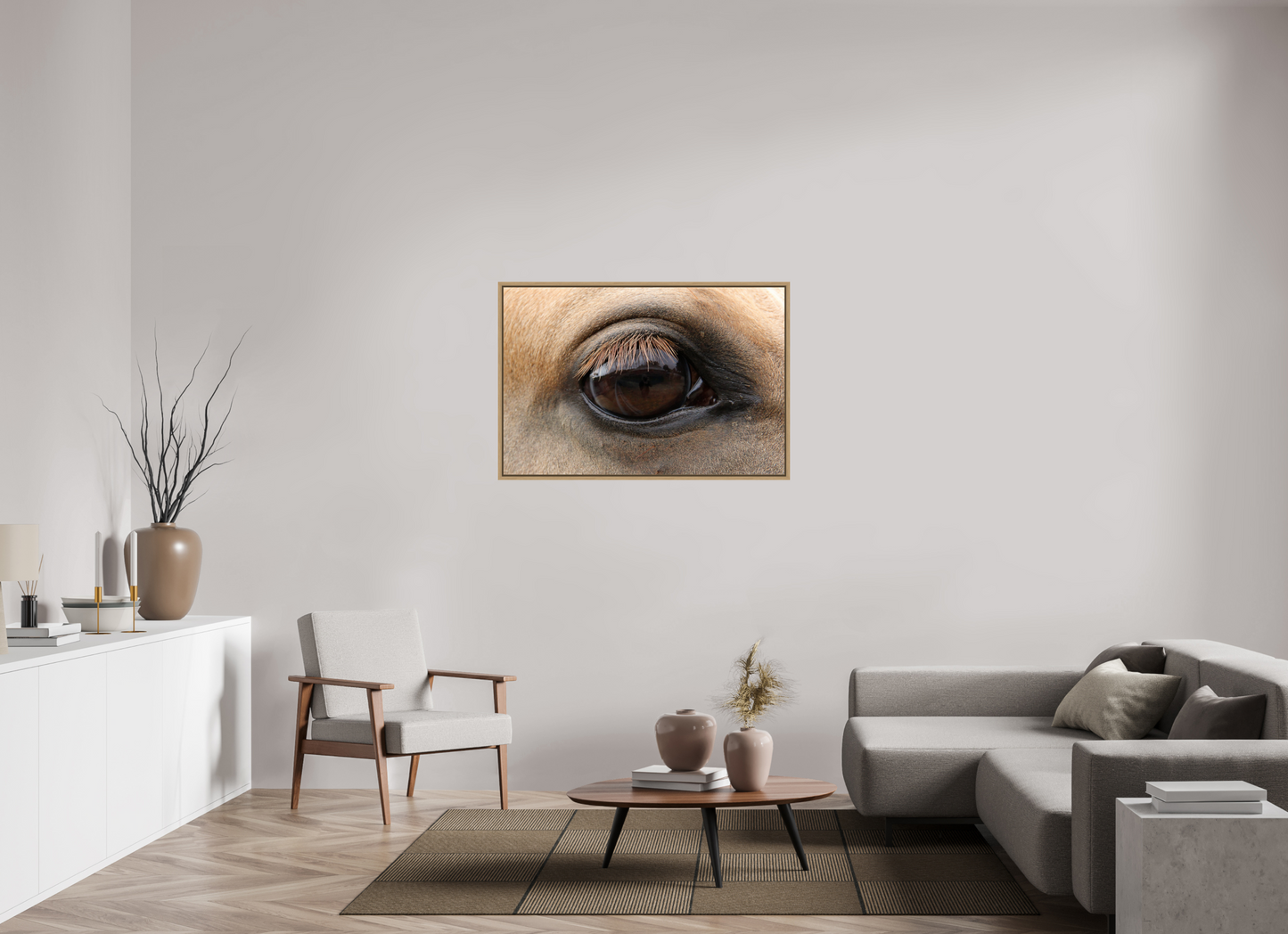 Horse Eye