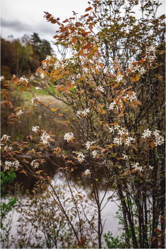 Spring Day in the Adirondacks