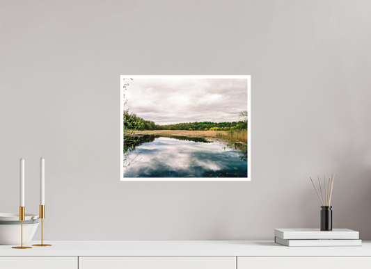 The Bog Brook, NY Spring