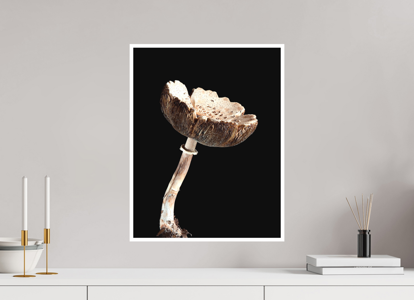NYC Mushroom