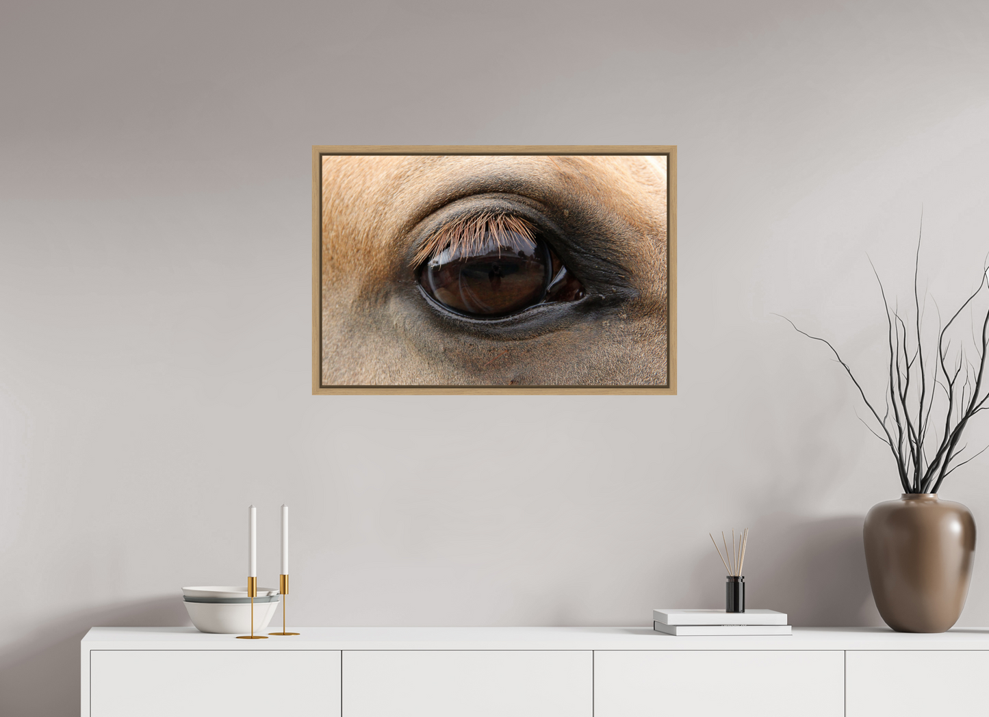 Horse Eye