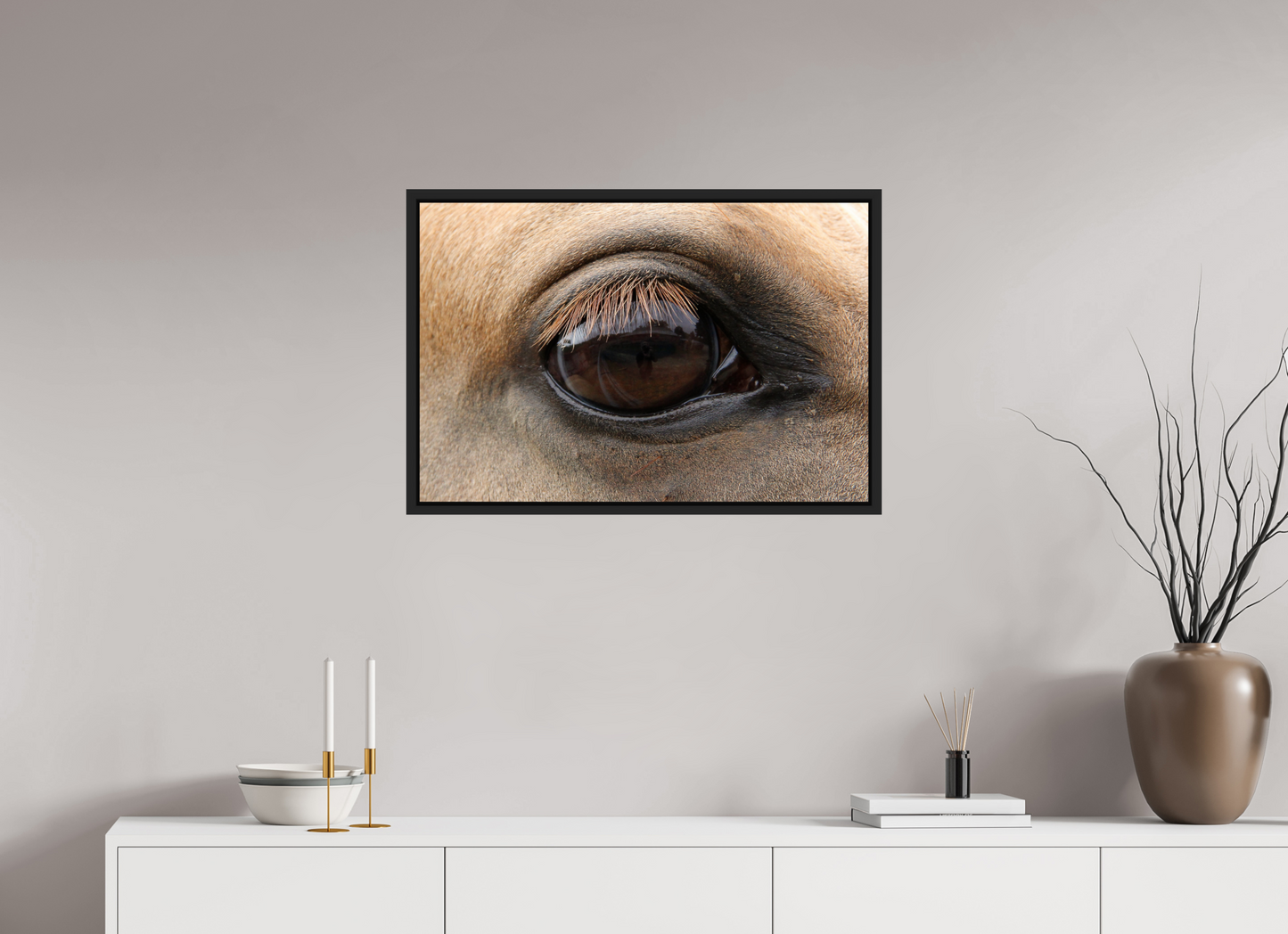 Horse Eye
