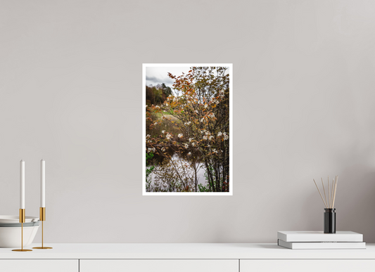 Spring Day in the Adirondacks