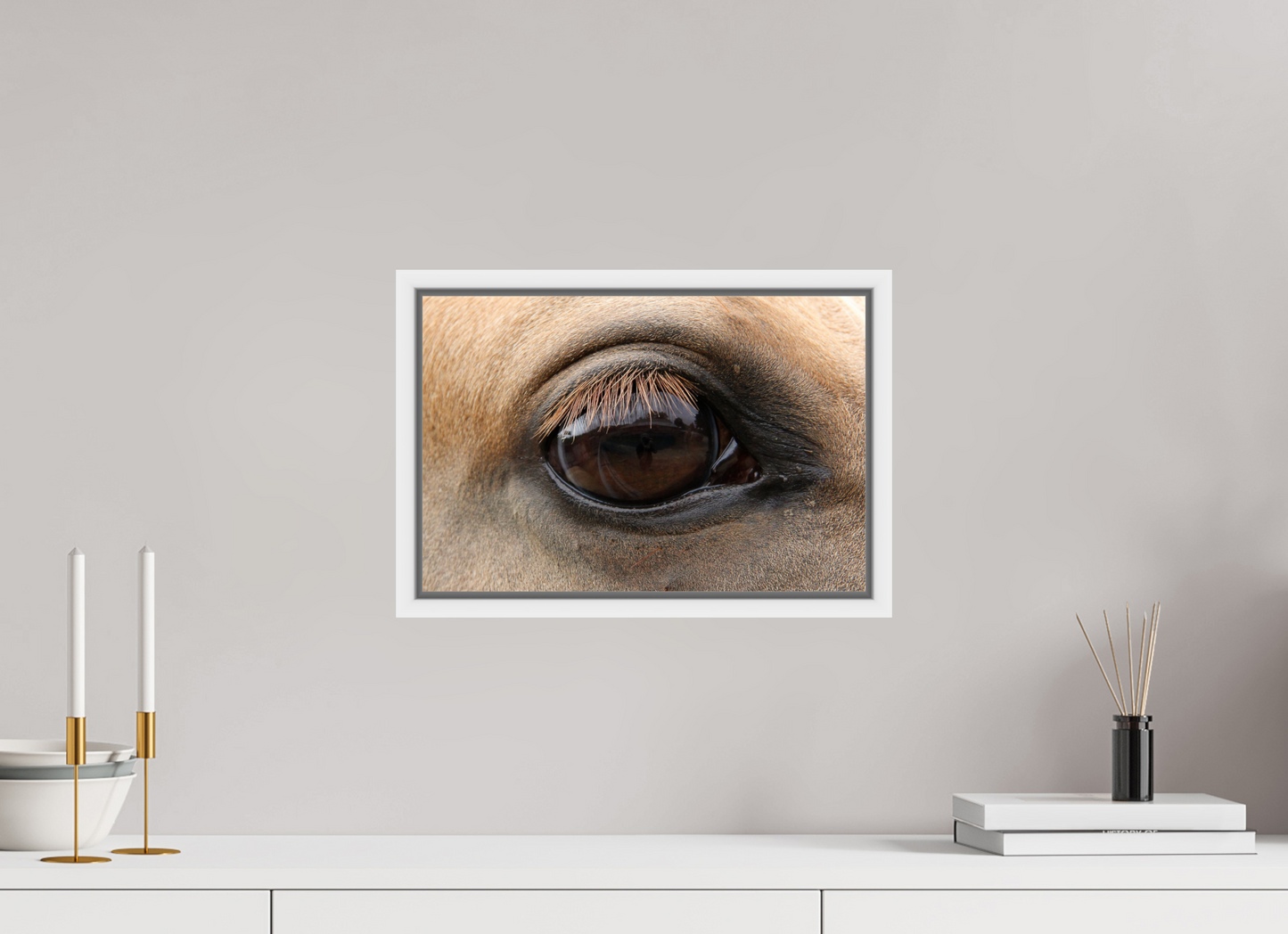 Horse Eye