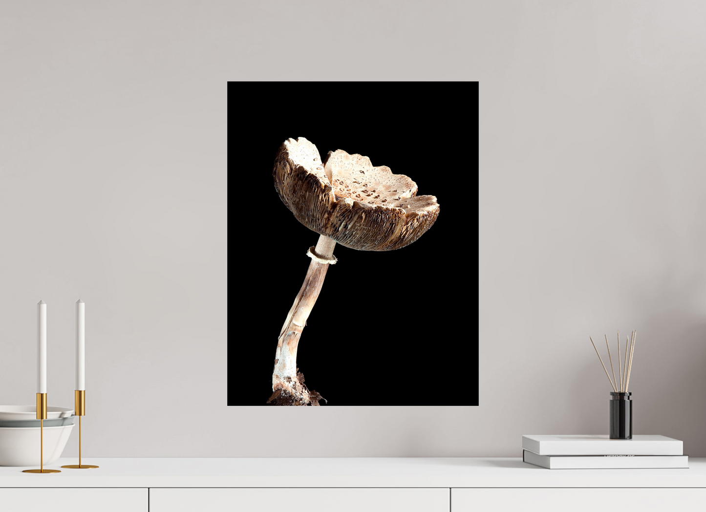 NYC Mushroom