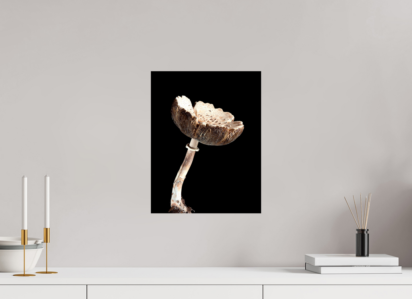 NYC Mushroom