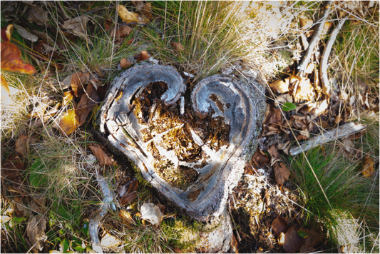 Tree Heart
