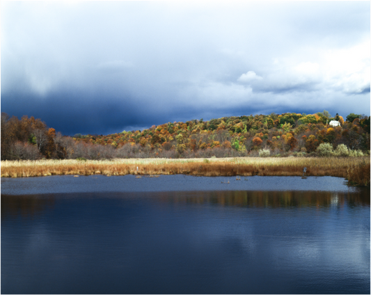 The Bog Brook, NY Fall