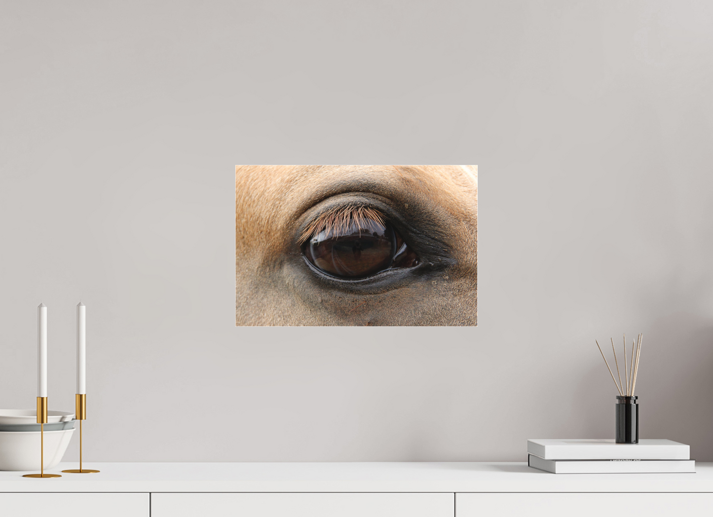 Horse Eye