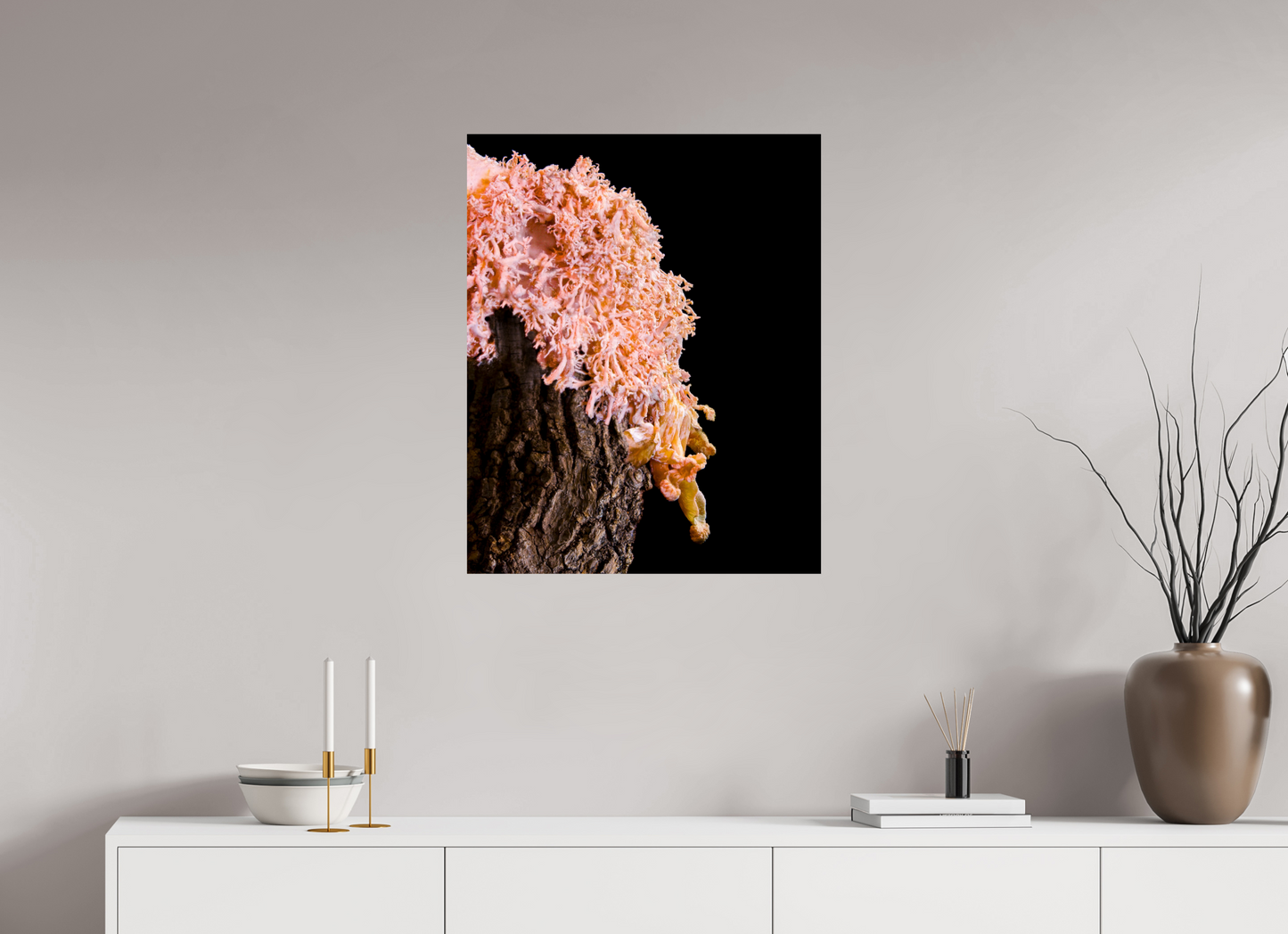 Pink Oyster Mushroom