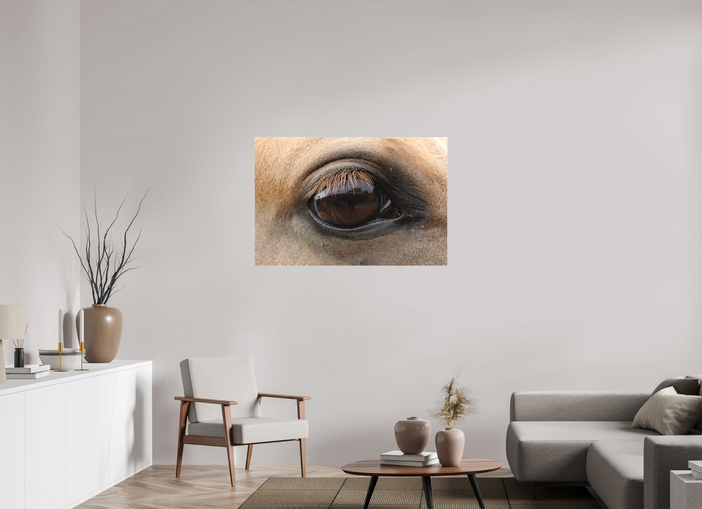 Horse Eye