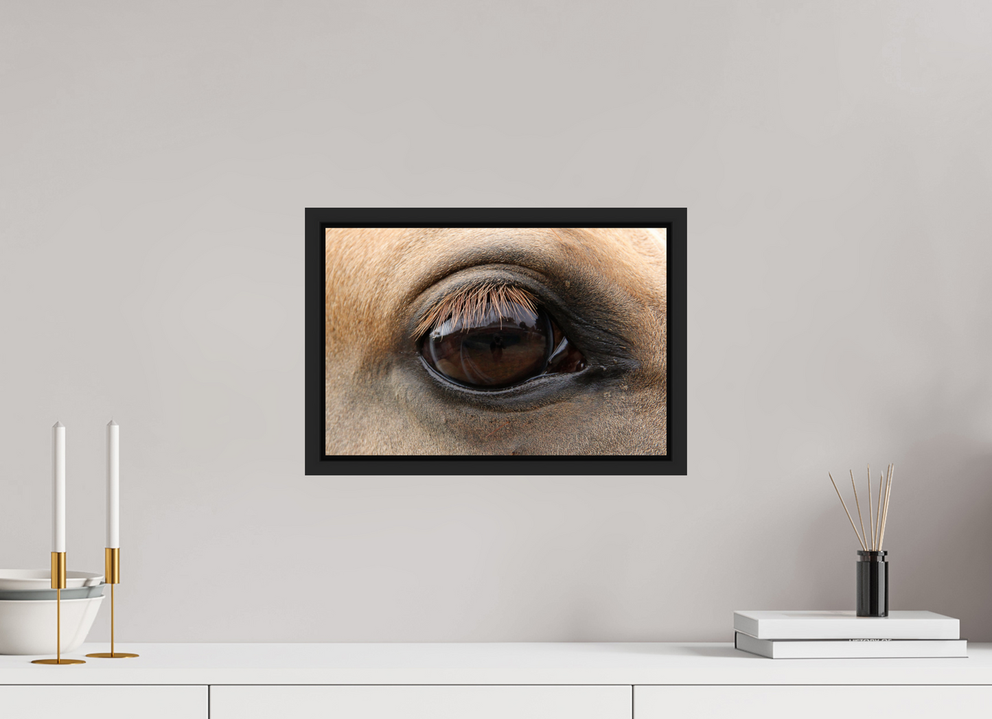 Horse Eye
