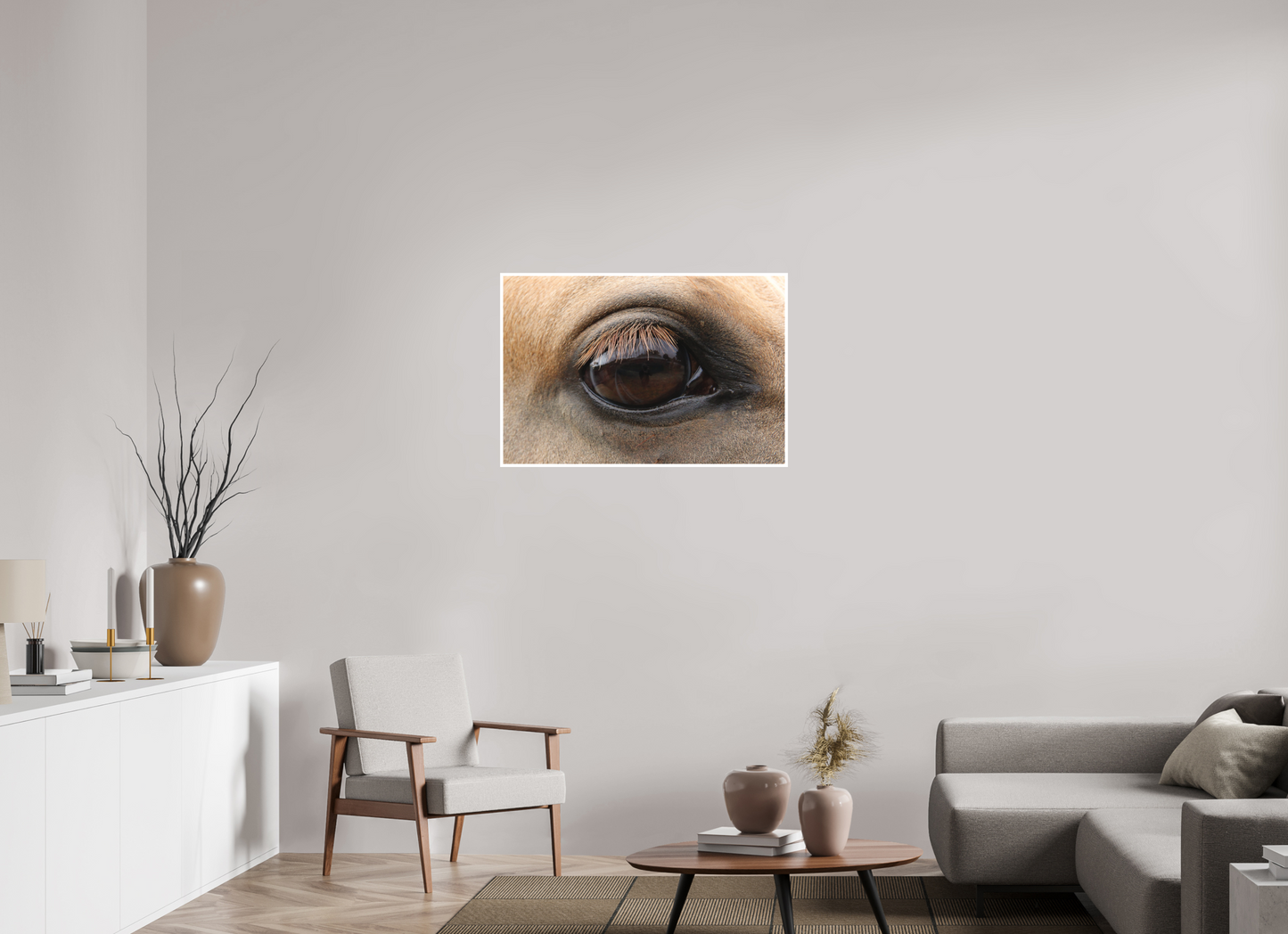 Horse Eye