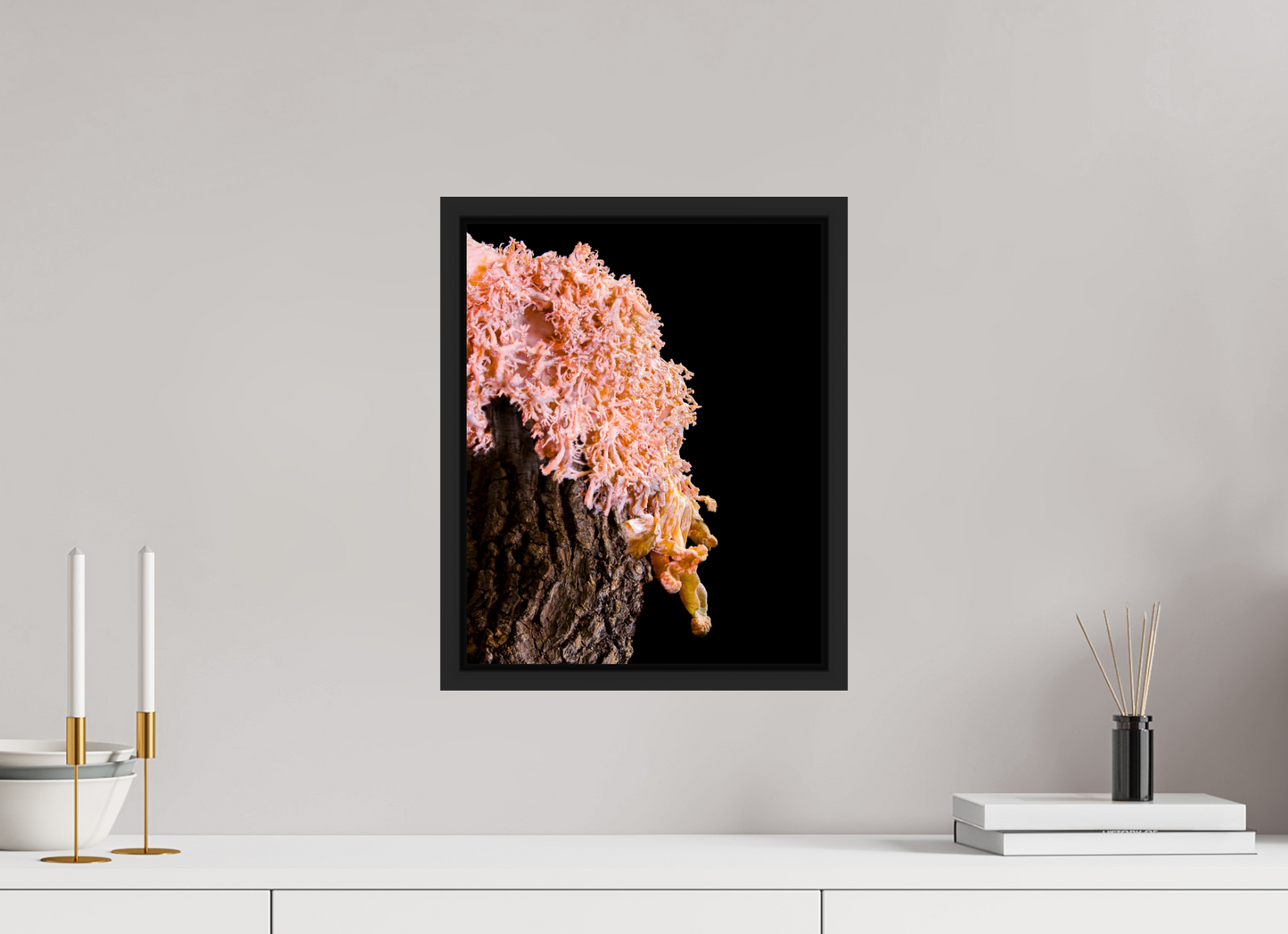 Pink Oyster Mushroom