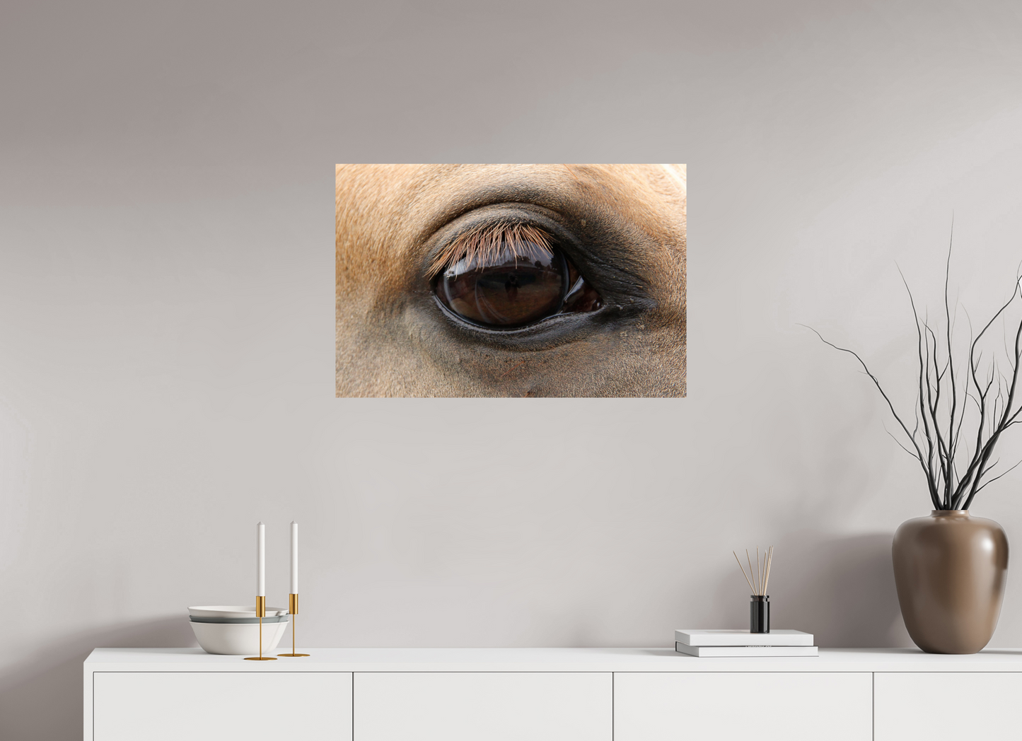 Horse Eye