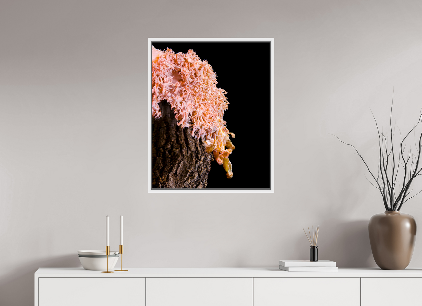 Pink Oyster Mushroom