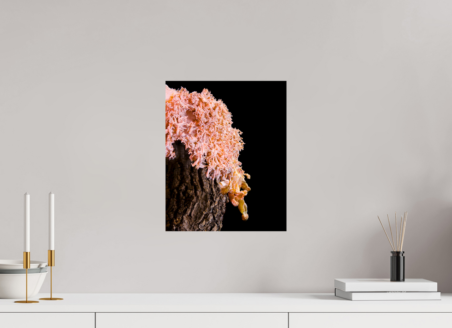 Pink Oyster Mushroom