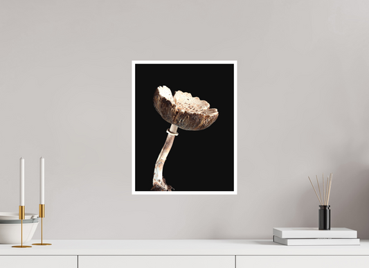 NYC Mushroom