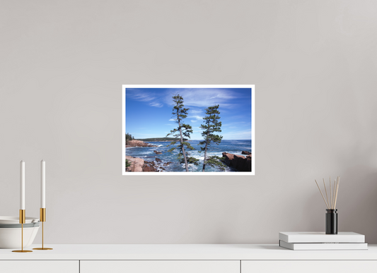Acadian Coastline