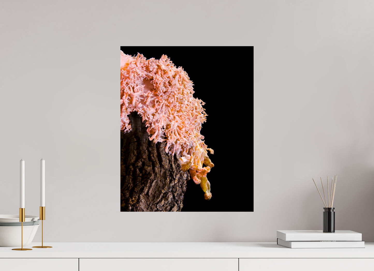 Pink Oyster Mushroom