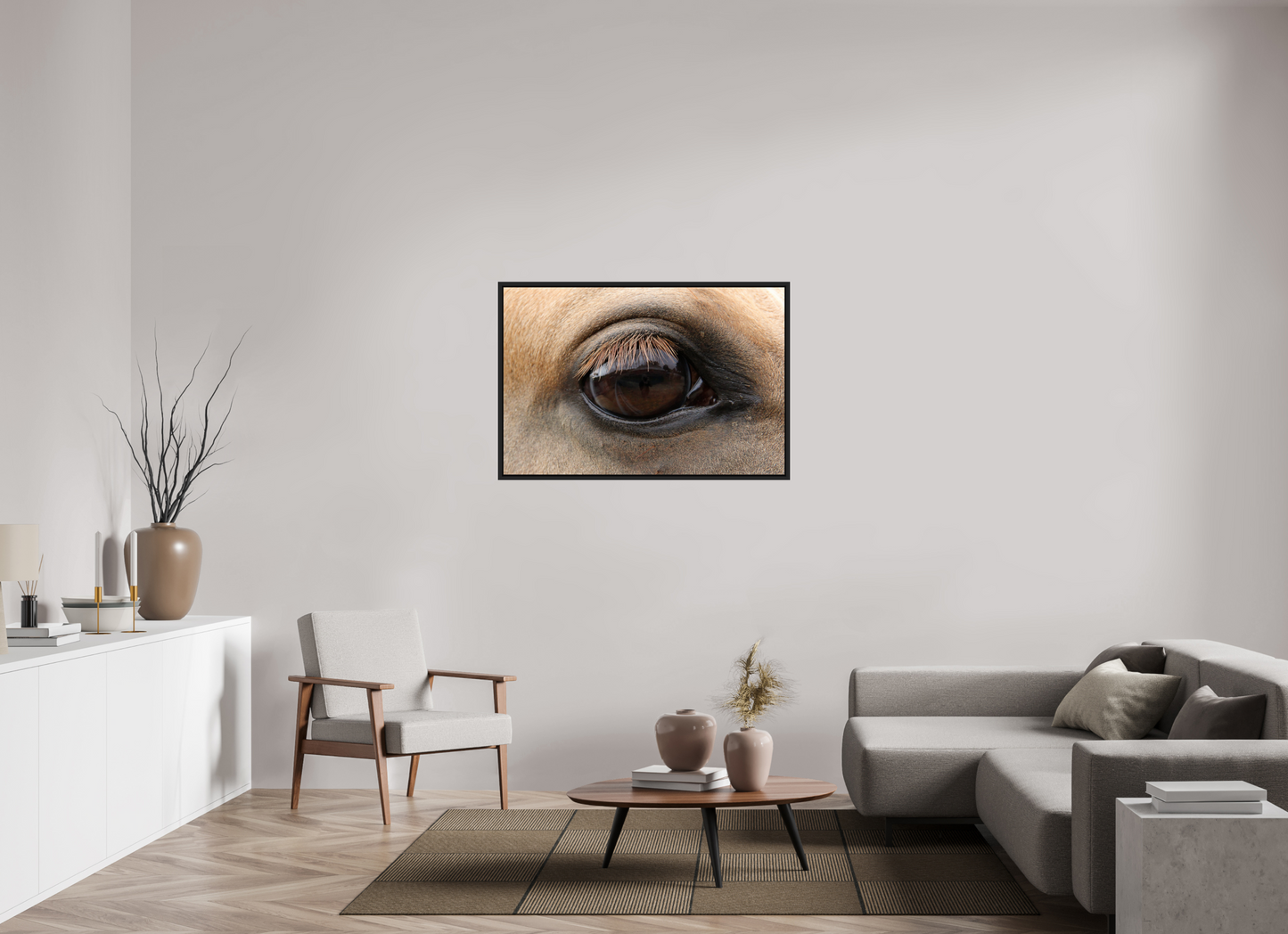 Horse Eye