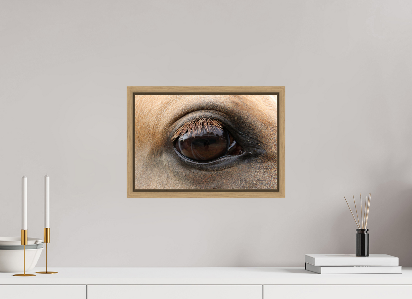 Horse Eye