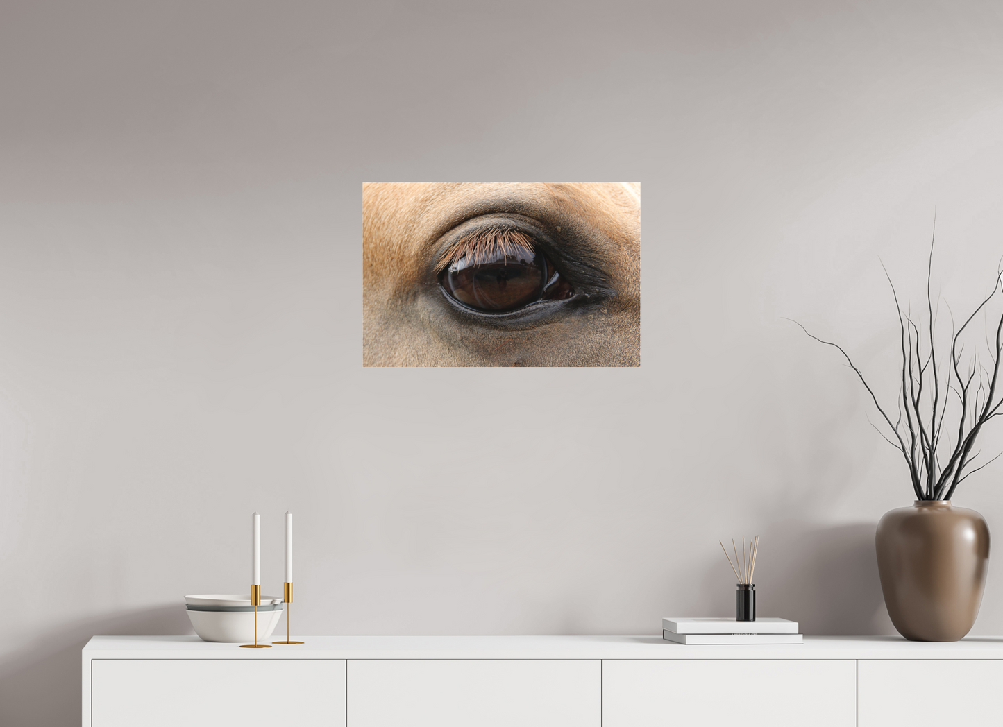 Horse Eye