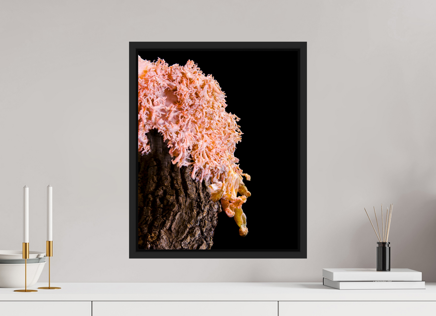 Pink Oyster Mushroom