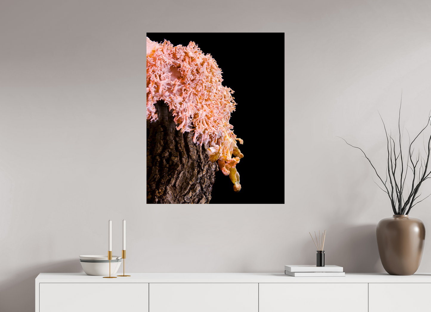 Pink Oyster Mushroom