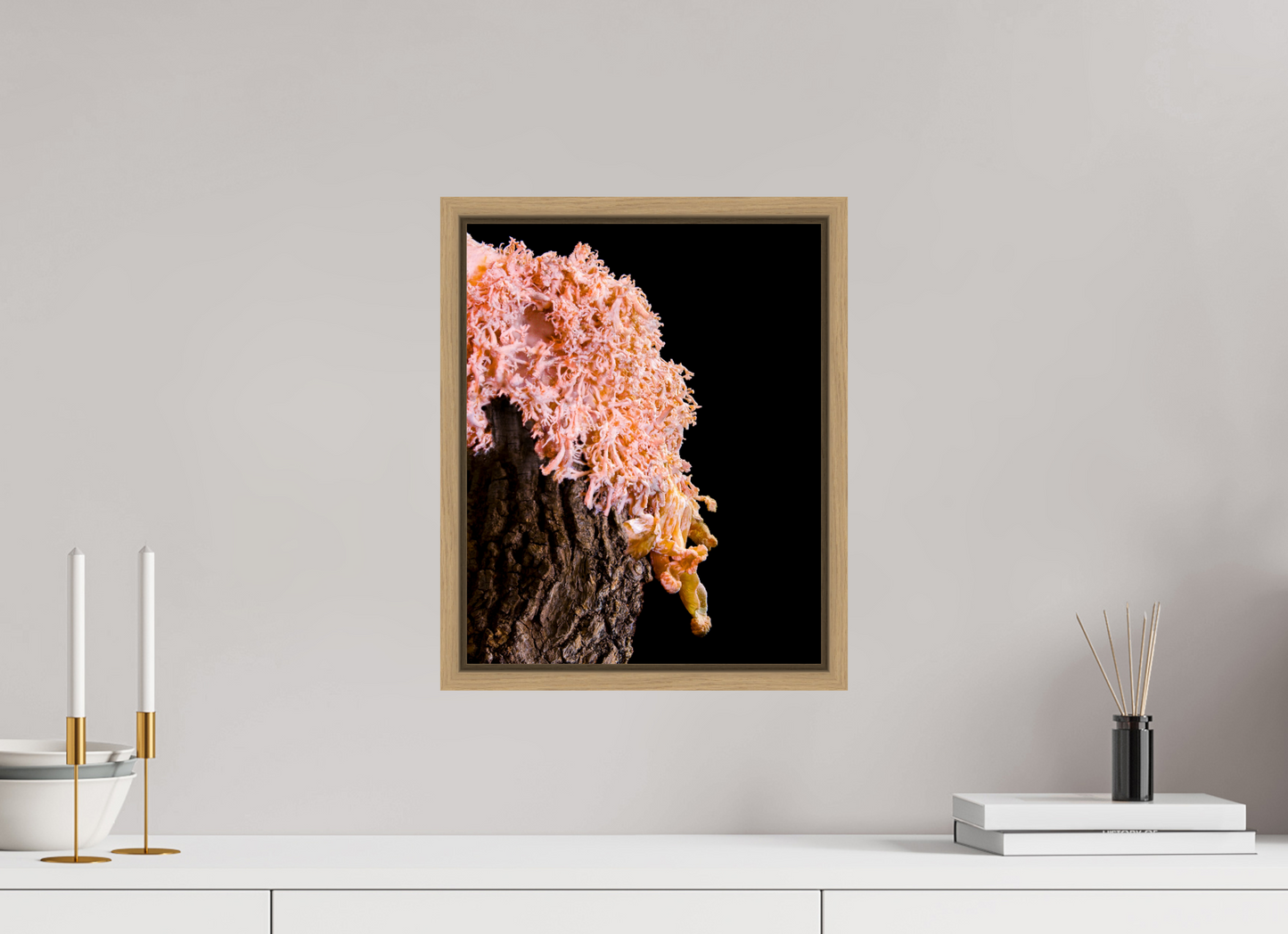 Pink Oyster Mushroom