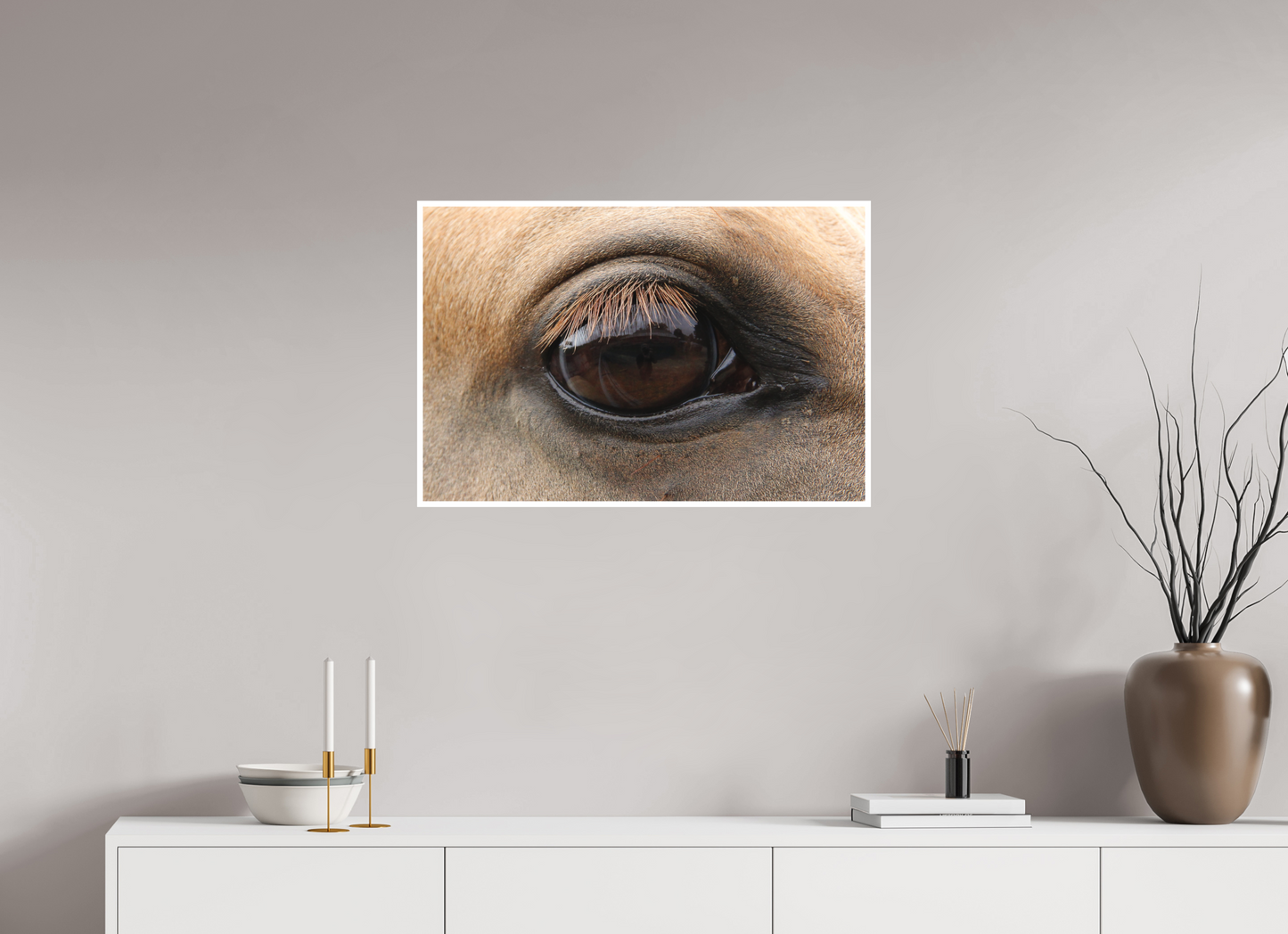 Horse Eye