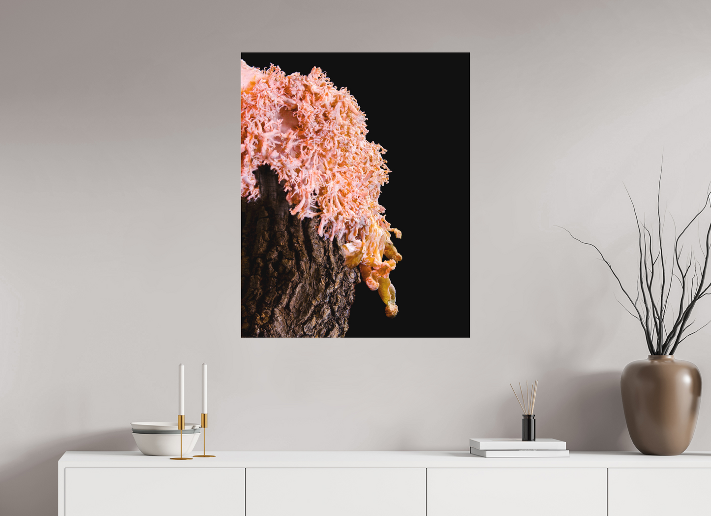 Pink Oyster Mushroom