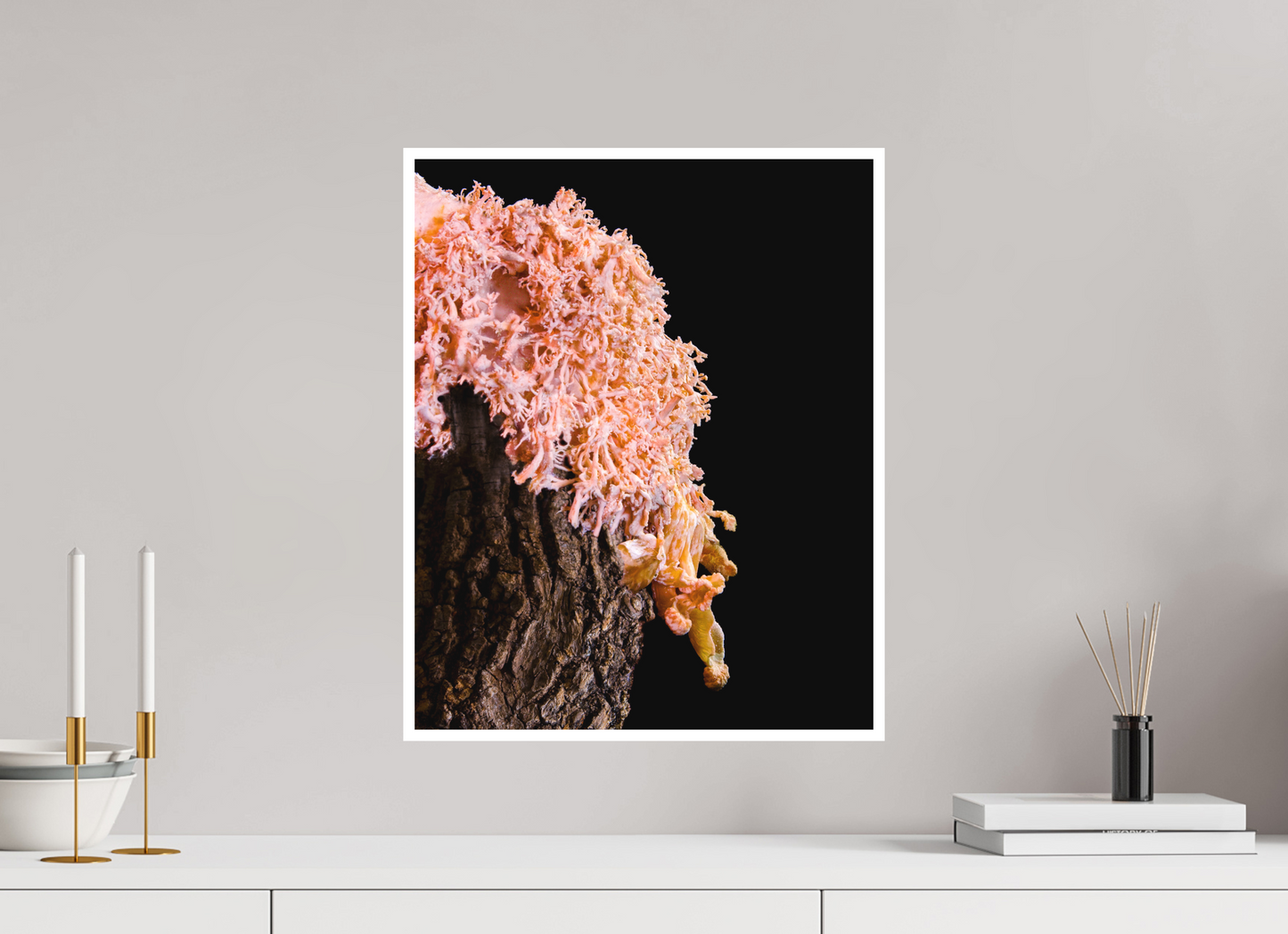 Pink Oyster Mushroom