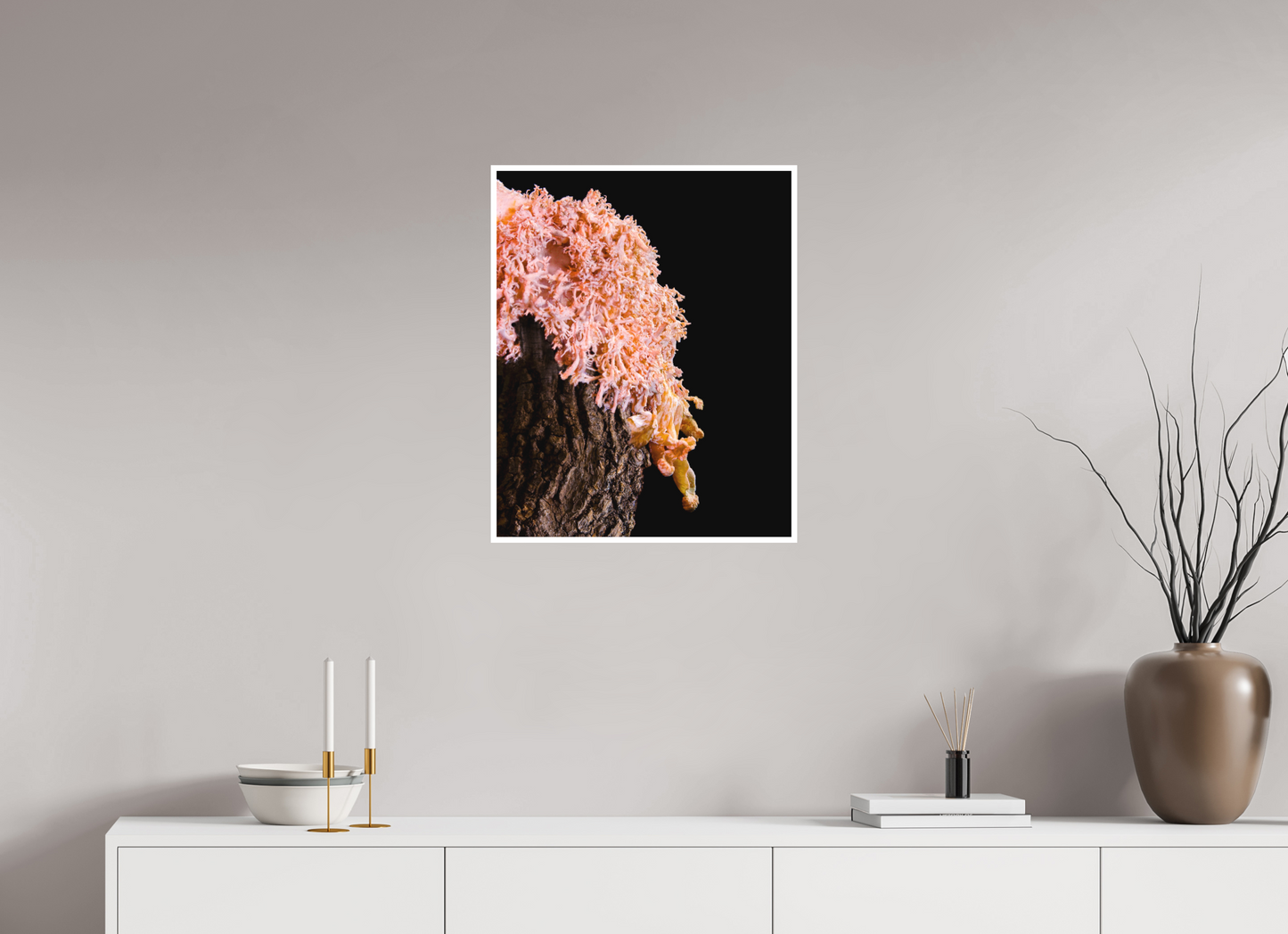 Pink Oyster Mushroom