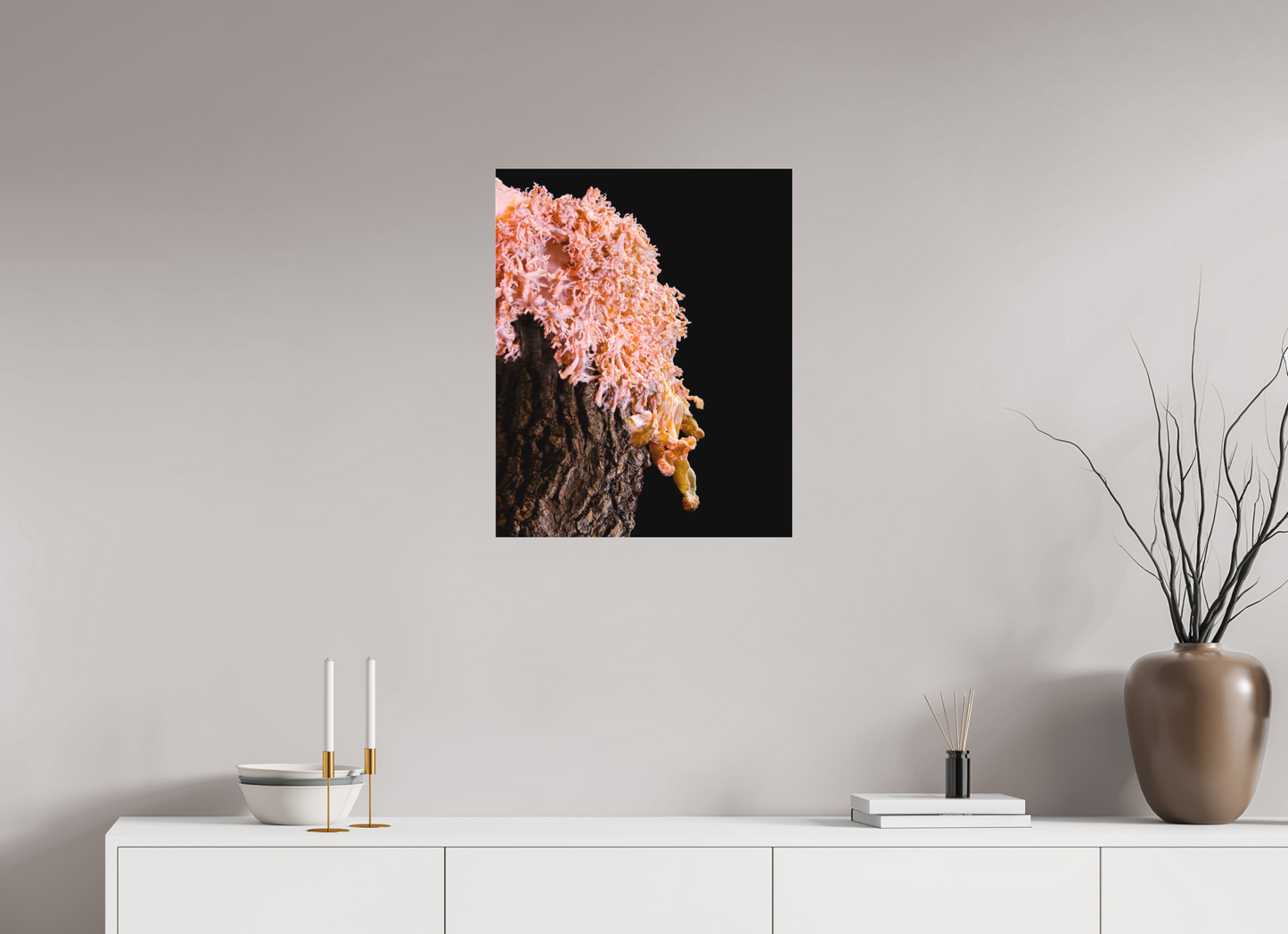 Pink Oyster Mushroom