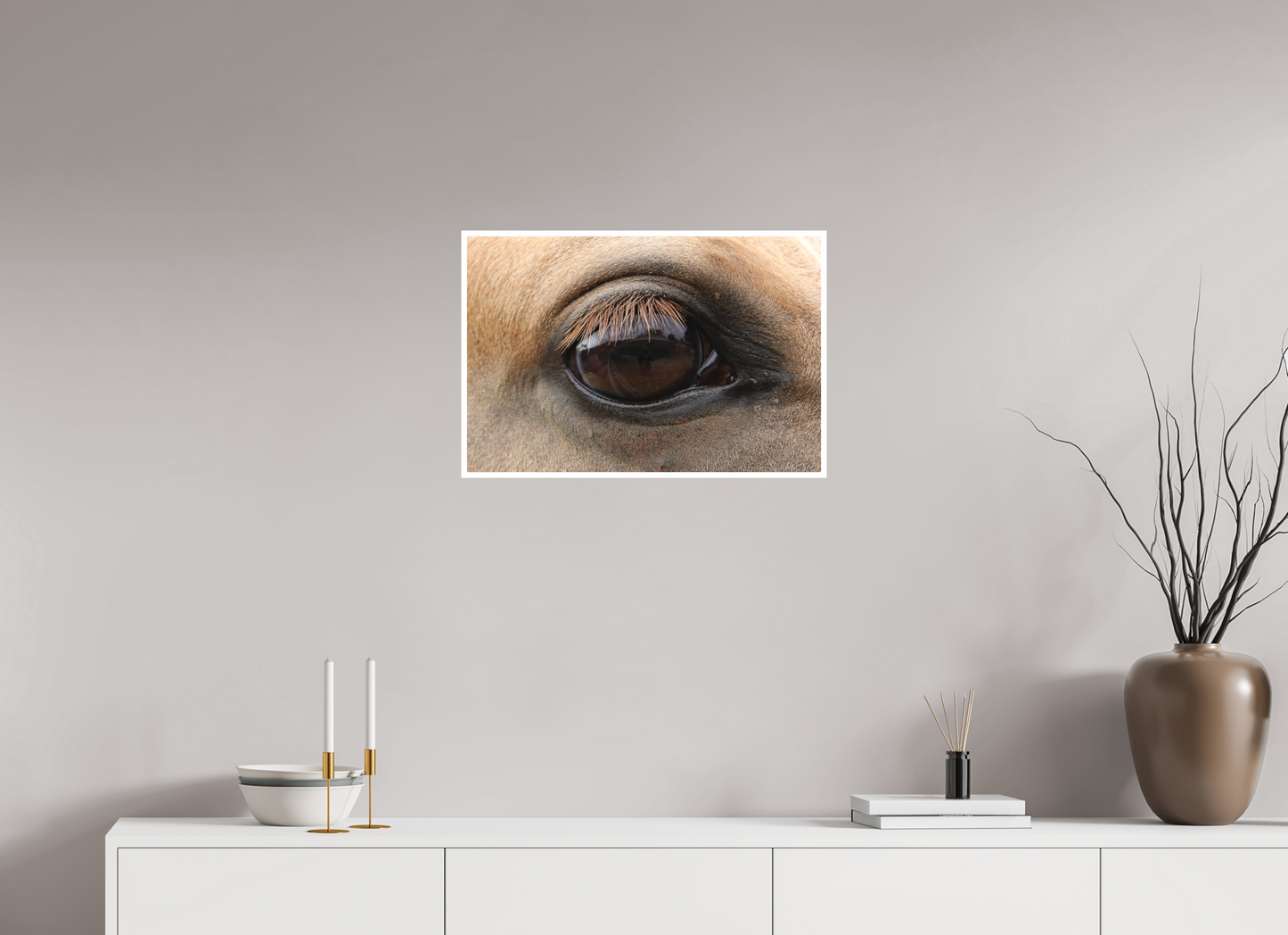 Horse Eye