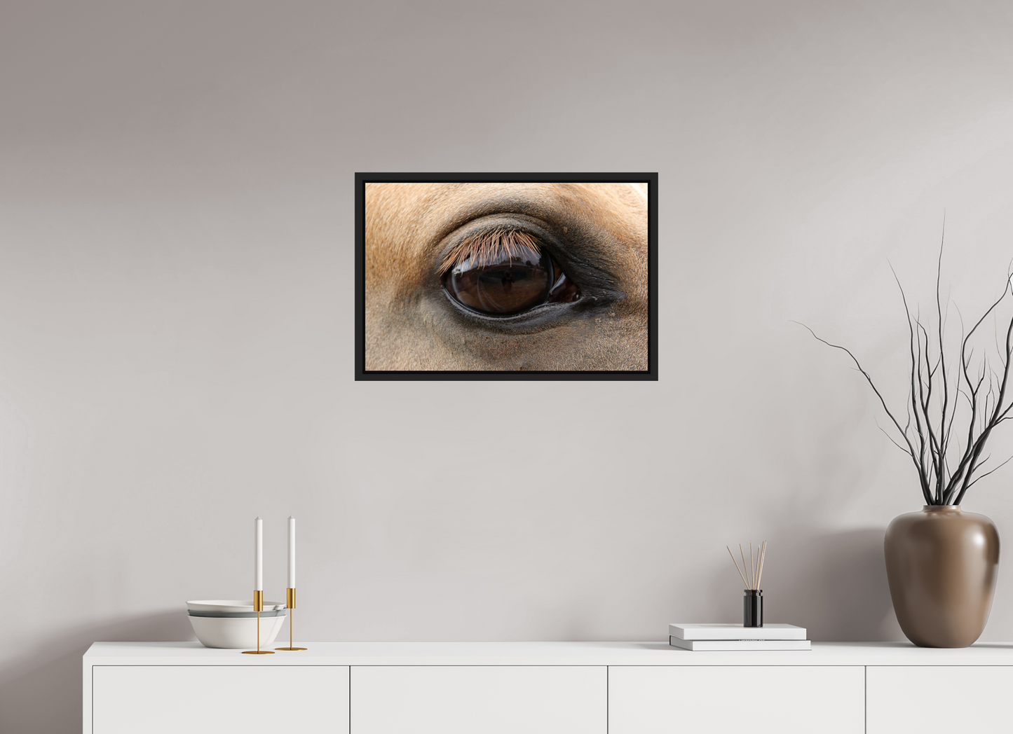 Horse Eye