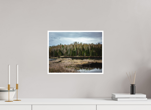 Bog River Trail