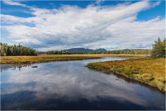 Acadia Lake 2