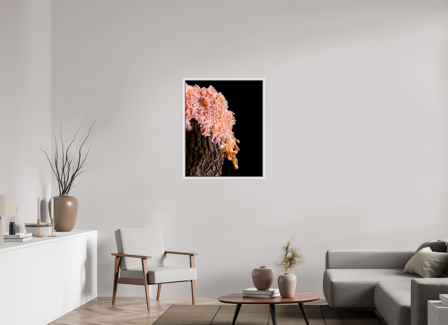 Pink Oyster Mushroom